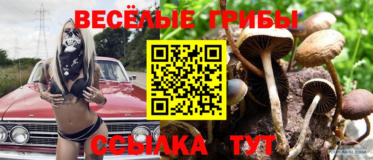 Топки  Галлюциногенные грибы MAGIC MUSHROOMS  купить наркотики цена  Вход с VPN  Галлюциногенные грибы мицелий 